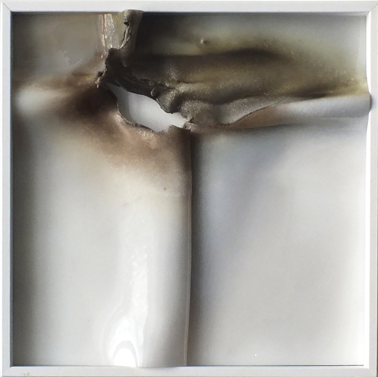 Plexiglas-thermoforme-22-x-22-cm-2014