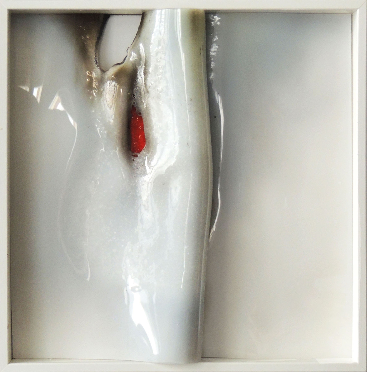 Plexiglas-thermoforme-22-x-22-cm-c-2016
