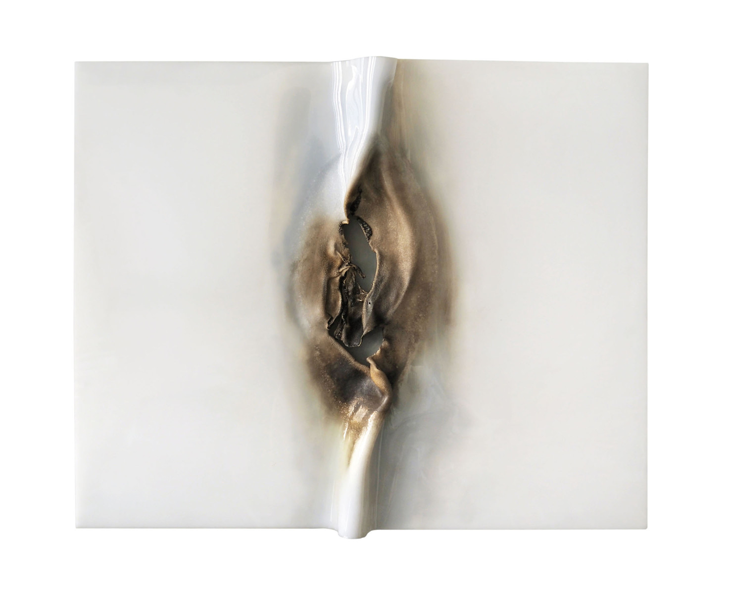 Plexiglas-thermoforme-60-x-55-cm-d-2018
